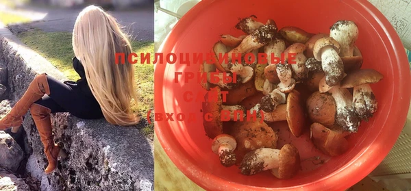 спайс Новозыбков