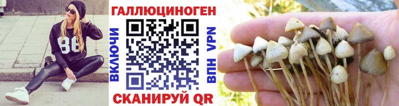 купить закладку  Макушино  Псилоцибиновые грибы мицелий 